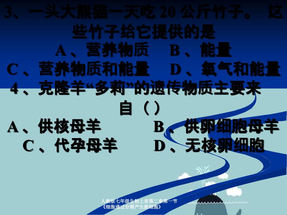 人教版七年级生物上册第二章第一节细胞通过分裂产生新细胞_第3页