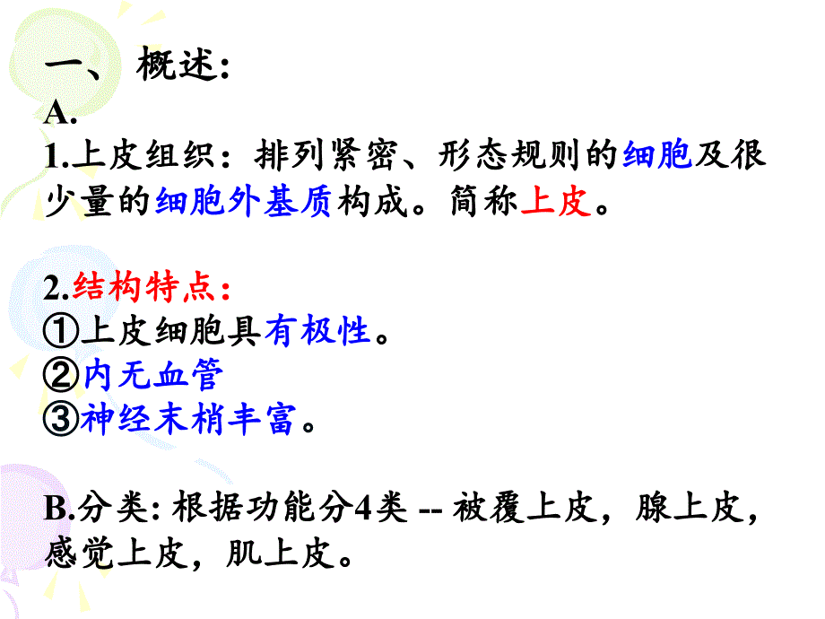 上皮组织33学时(中医版)_第2页