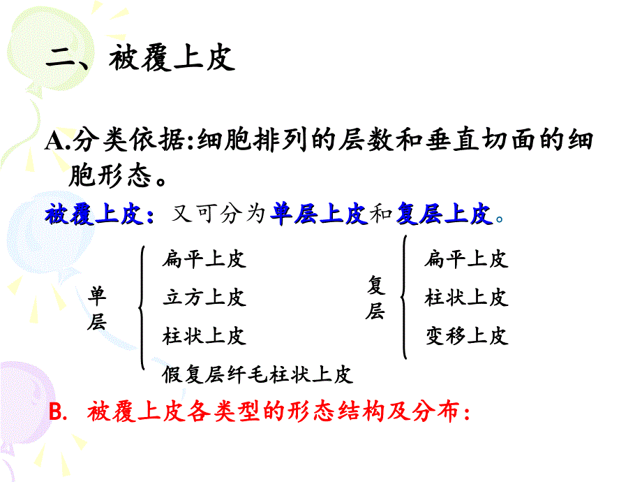 上皮组织33学时(中医版)_第3页