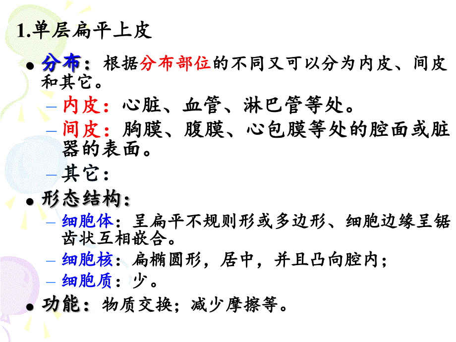 上皮组织33学时(中医版)_第4页