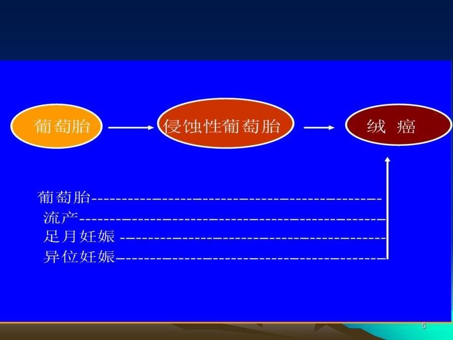 74妇产科滋养细胞疾病ppt课件_第5页