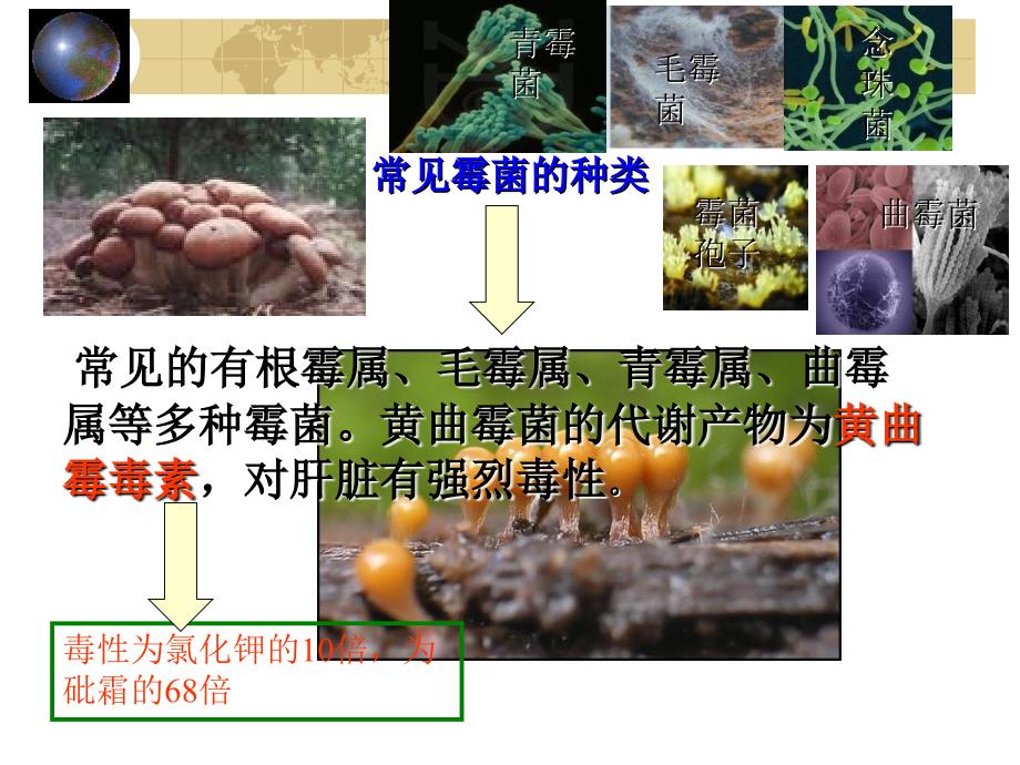 中药品质变异现象_第3页