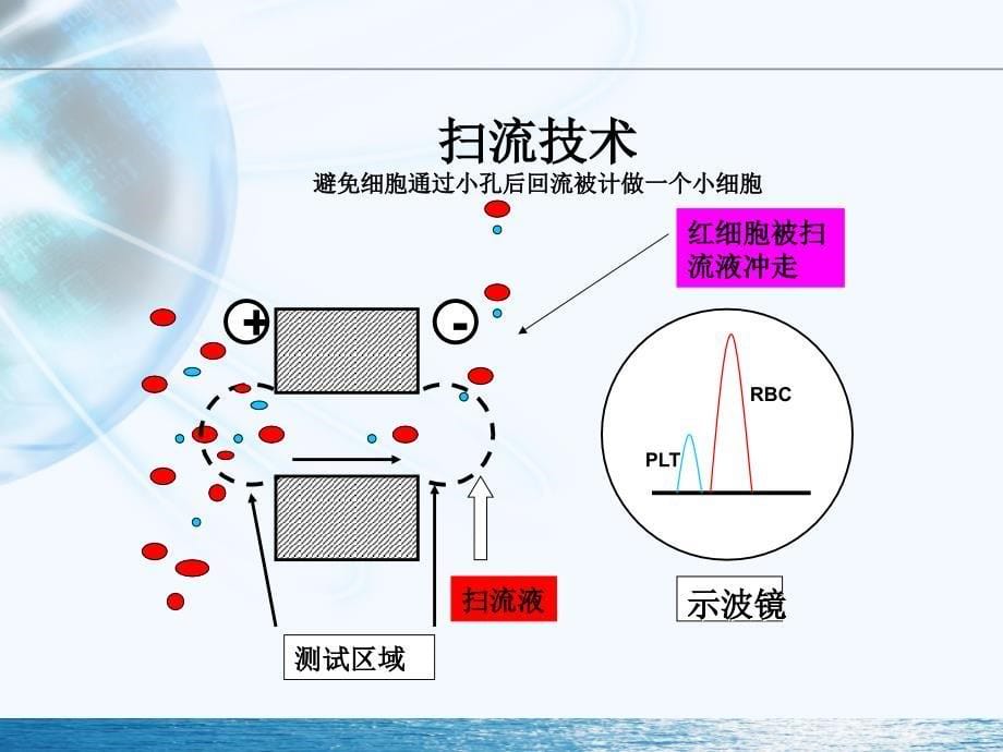 贝克曼库尔特血液分析技术及特色参数_第5页