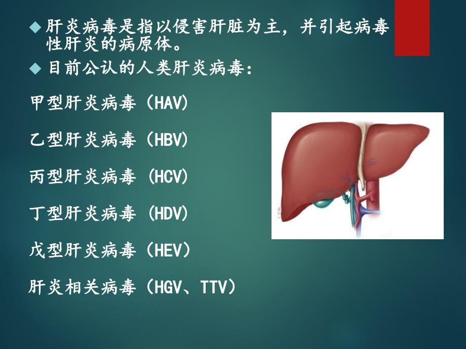 临床病原学-肝炎病毒_第3页