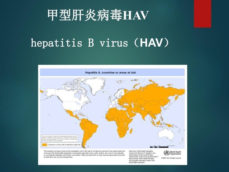 临床病原学-肝炎病毒_第5页