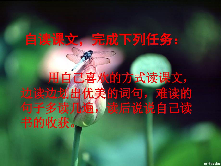 自己的花是让别人看的_第3页