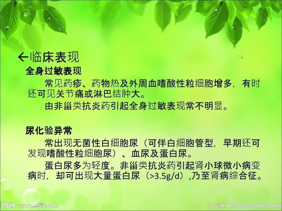 肾小管间质病变_第5页