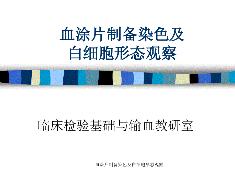 血涂片制备染色及白细胞形态观察课件_第1页