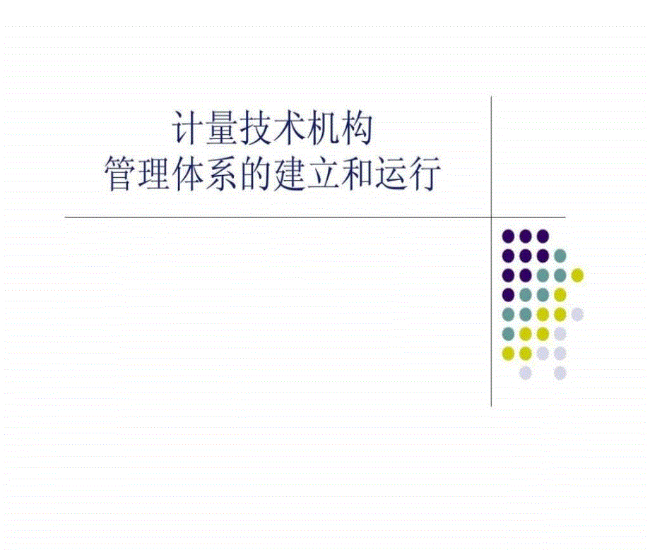 计量技术机构管理体系的建立和运行_第1页