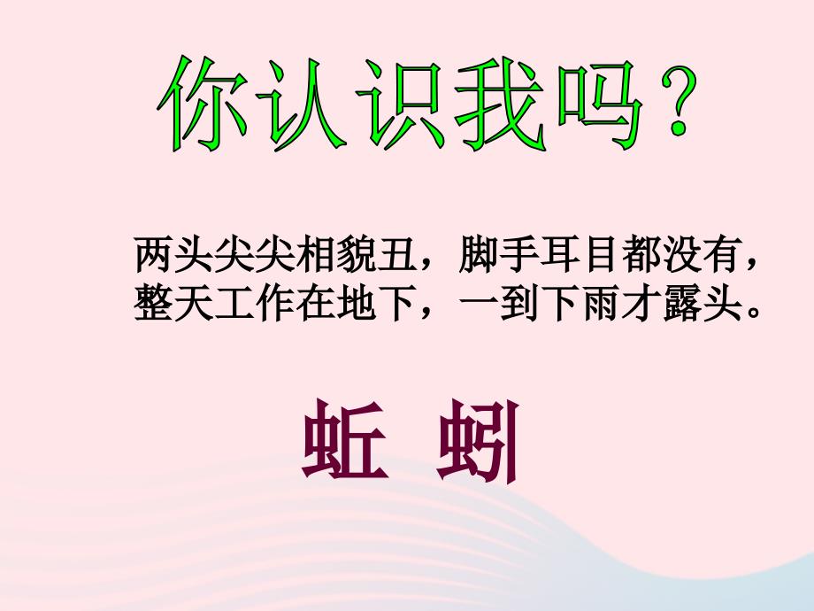 最新三年级科学上册2.4蚯蚓课件4_第1页