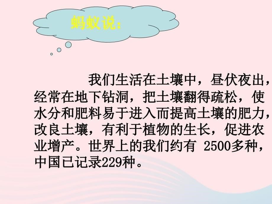 最新三年级科学上册2.4蚯蚓课件4_第5页