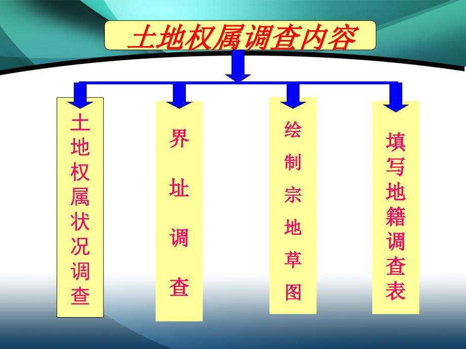 土地权属调查检查_第3页