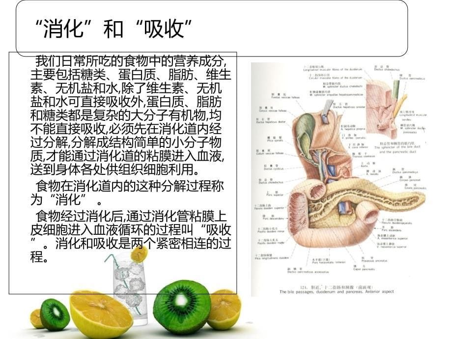 不吃饭的危害.课件_第5页