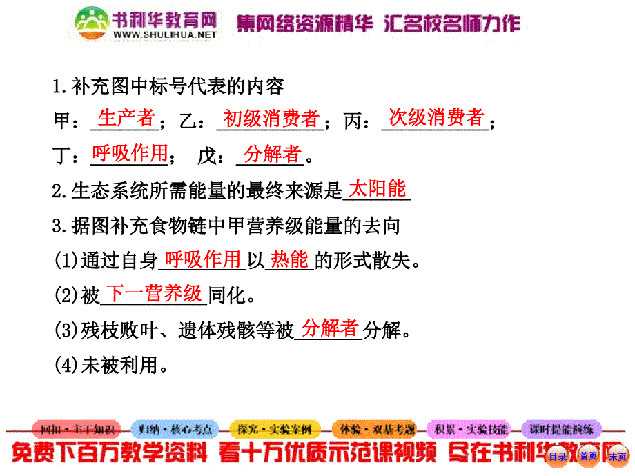 5.2、5.3生态系统的能量流动和物质循环_第3页