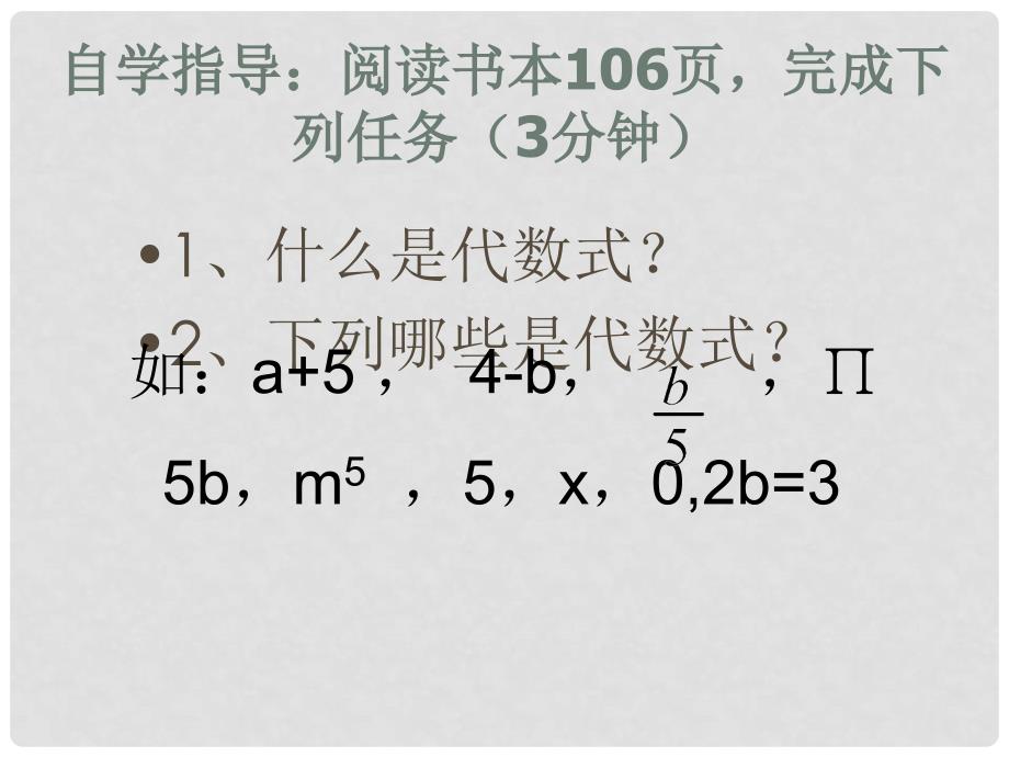 广东省中大附中三水实验学校七年级数学上册《代数式》课件 北师大版_第4页