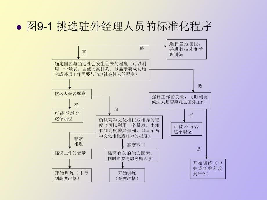 跨国公司人力资源管理_第5页