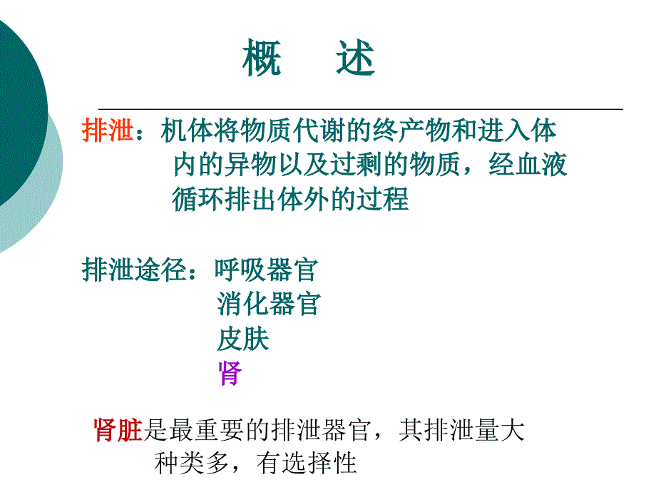 生理学ppt：尿的生成和排出_第3页