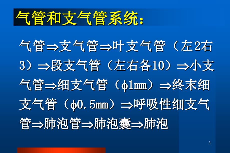 呼吸系统疾病演示PPT_第3页