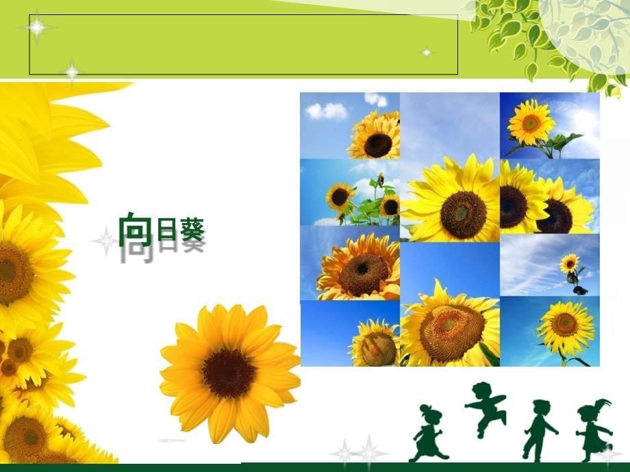 美术三年级上人教新课标6《校园里的花》课件6_第5页