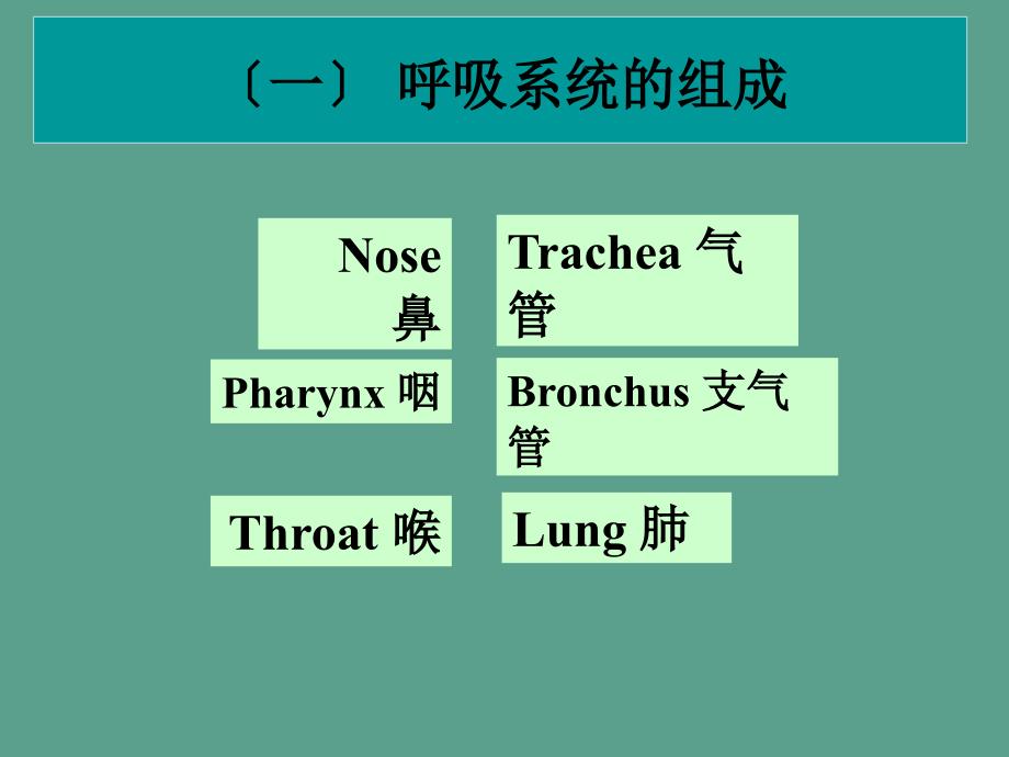 呼吸系统药理ppt课件_第2页