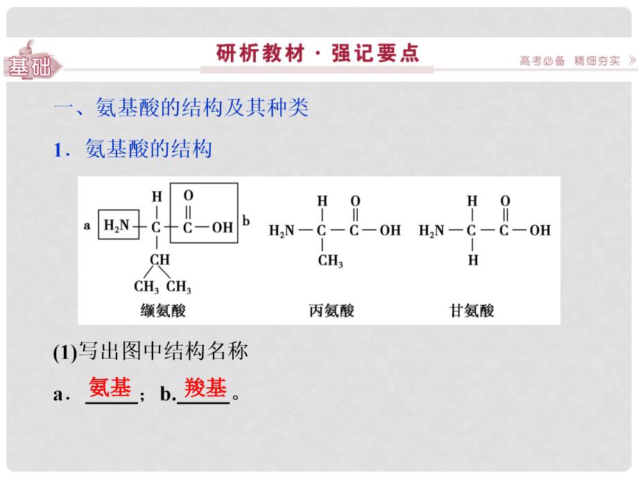 高考生物总复习 第1单元 第3讲 生命活动的主要承担者课件_第3页