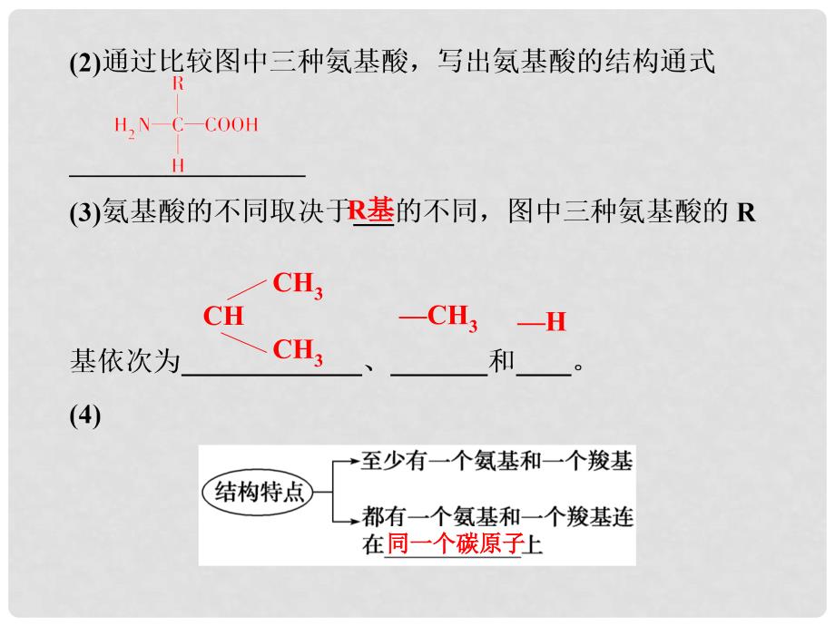 高考生物总复习 第1单元 第3讲 生命活动的主要承担者课件_第4页