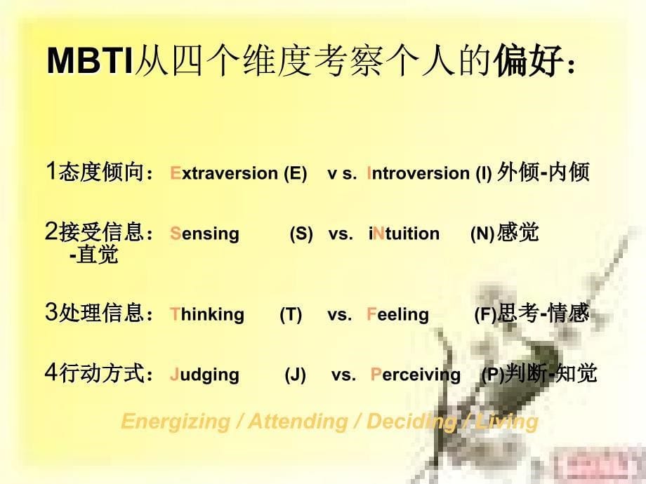 MBTI量表培训PPT课件_第5页