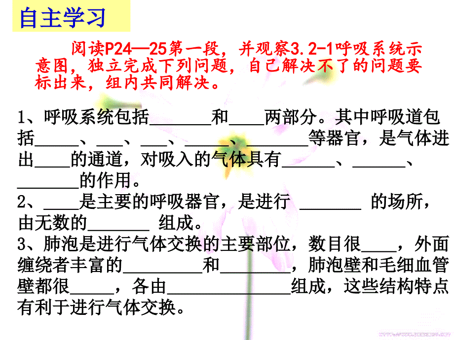 呼吸系统的组成_第3页