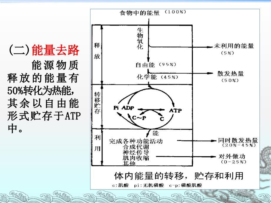 医学生物化学：第七章 能量代谢与体温_第3页