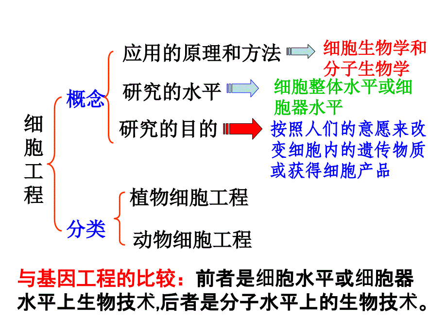 生物2.1.1植物细胞工程的基本技术课件新人教版选修3_第2页