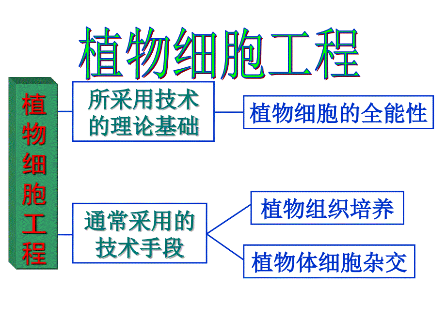 生物2.1.1植物细胞工程的基本技术课件新人教版选修3_第3页