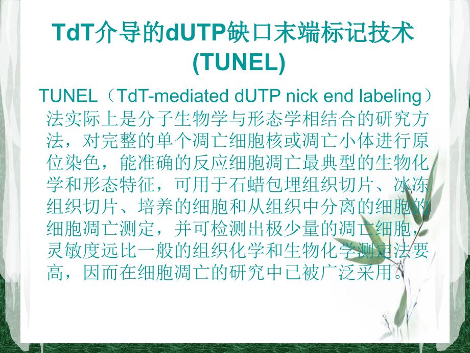 TUNEL法检测细胞凋亡实验原理和方法tunel完成.ppt_第1页