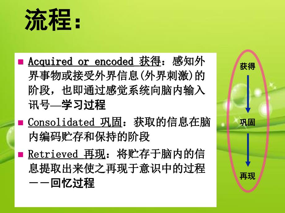 学习与记忆(神经生物学)-PPT课件_第4页