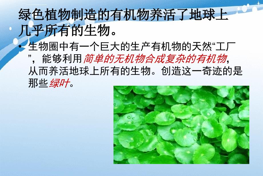 第三单元第四章绿色植物是生物圈中有机物的制造者课件_第2页