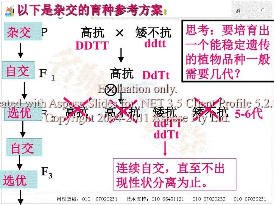 高一生物必修第六章杂交和诱变育种.ppt_第5页