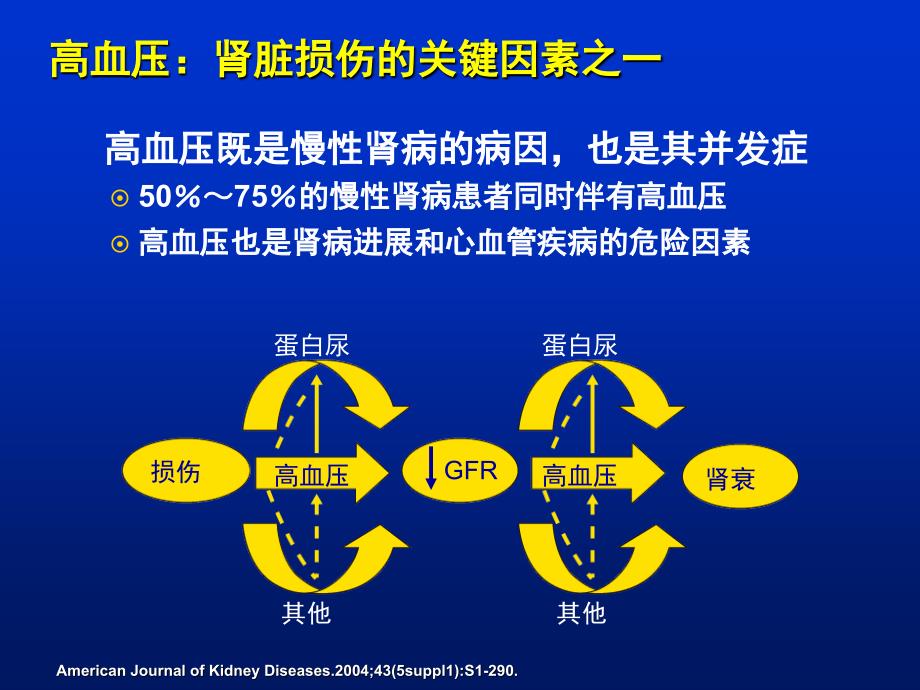 慢性肾病并高血压患者的降压治疗.ppt_第2页