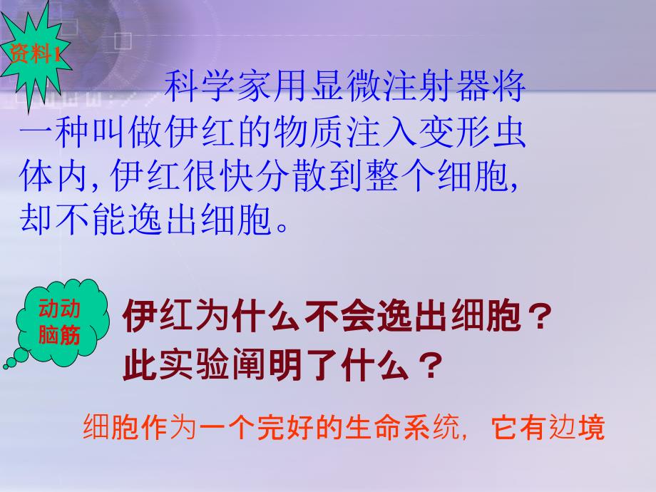 细胞的基本结构细胞膜系统的边界ppt课件_第1页