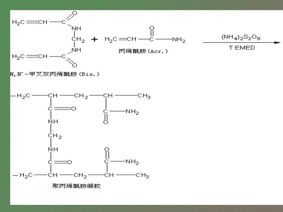 研实验大实验_第5页