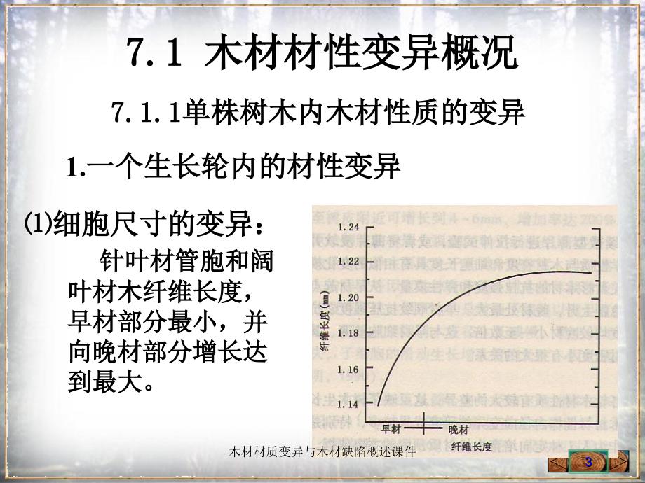 木材材质变异与木材缺陷概述课件_第3页