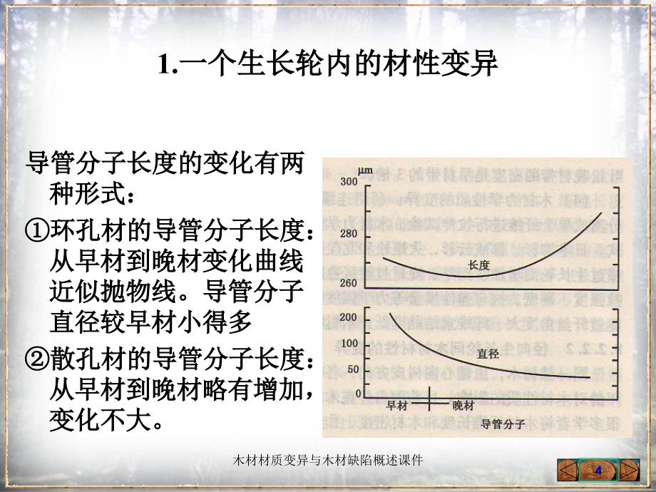 木材材质变异与木材缺陷概述课件_第4页