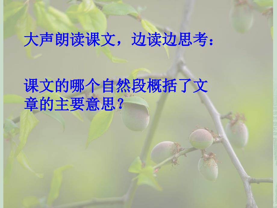 美丽的小兴安岭PPT_第3页