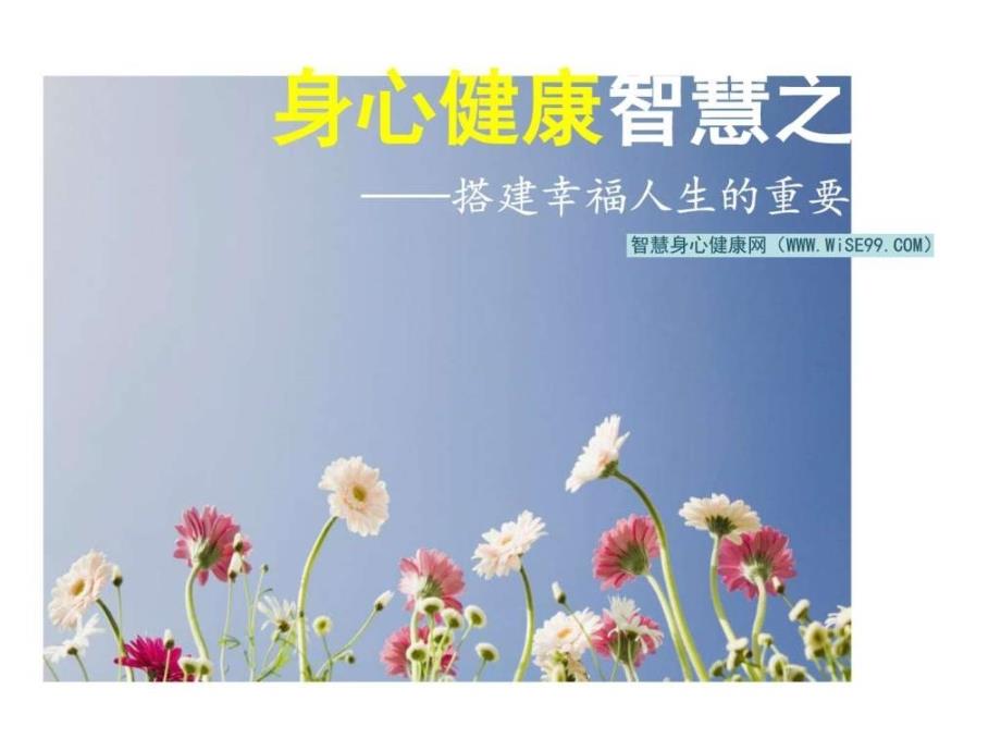 身心健康智慧之路——搭建幸福人生的重要基石(照临老.ppt_第1页