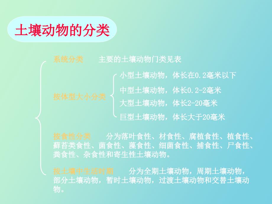 土壤生物森林土壤_第4页