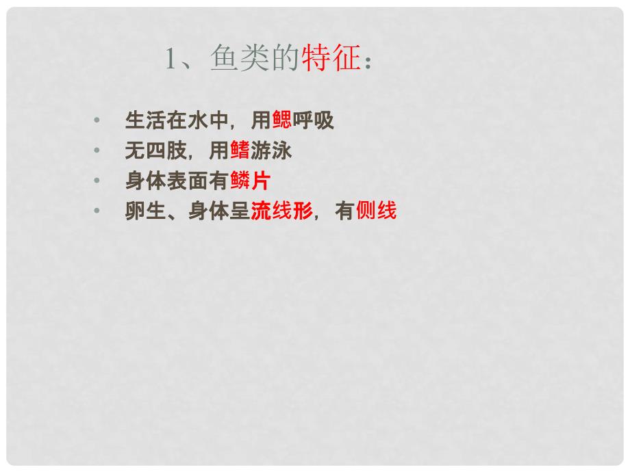 浙江省瑞安市安阳镇上望一中七年级科学上册《2.2 常见的动物》课件2 浙教版_第4页