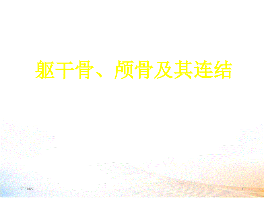 躯干骨、颅骨及其连结_第1页