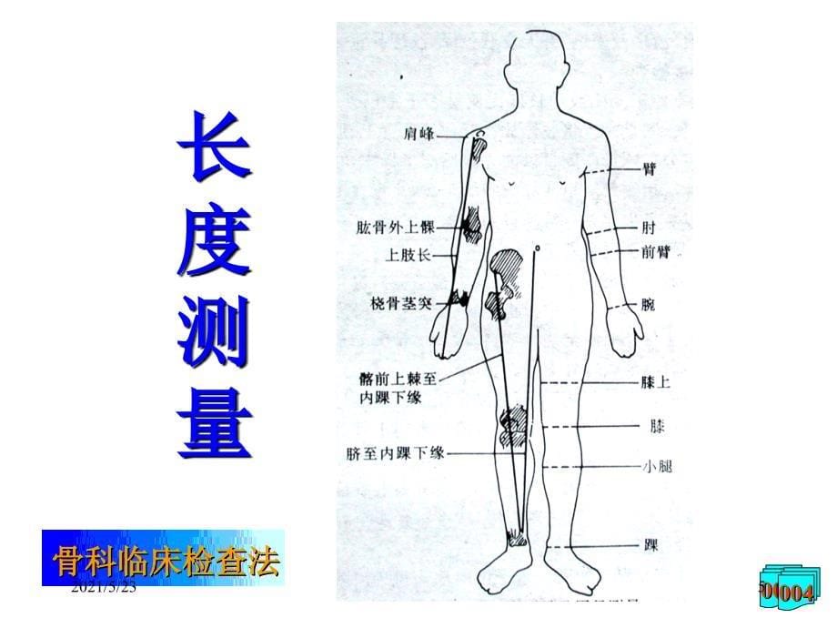 骨科临床检查_第5页