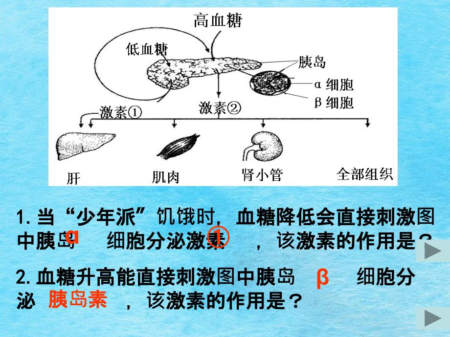 动物的激素调部分复习教学ppt课件_第4页