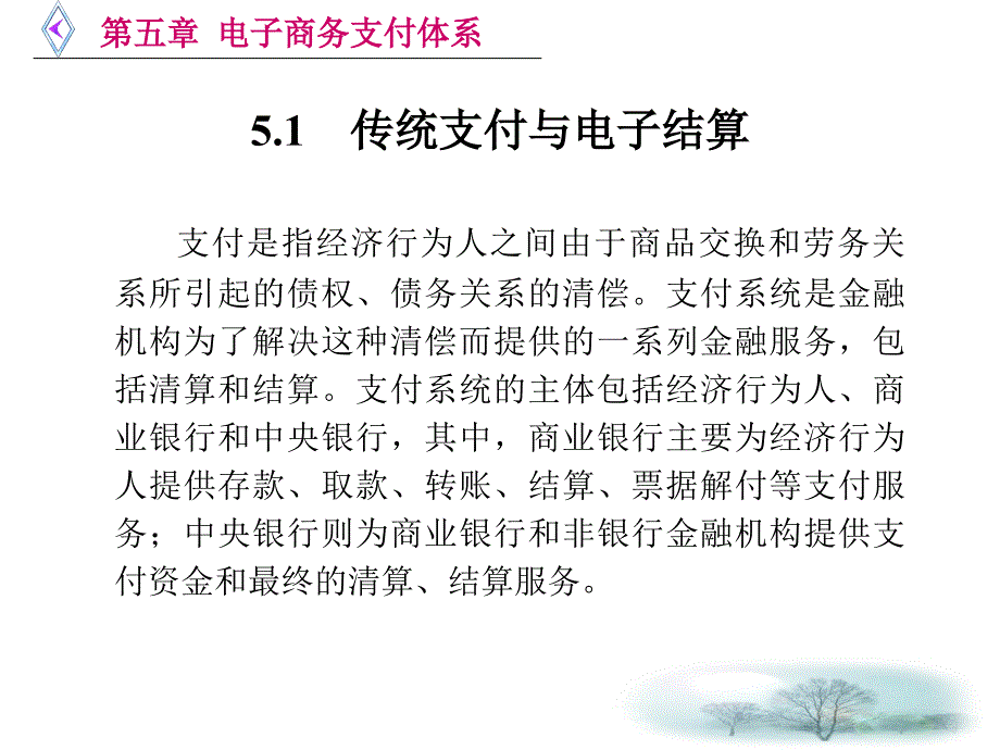 第五章电子商务支付体系_第2页