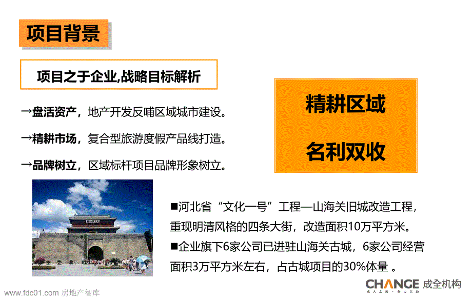 某公司项目定位报告_第4页