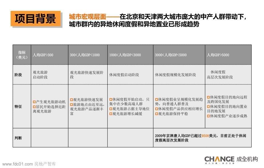 某公司项目定位报告_第5页